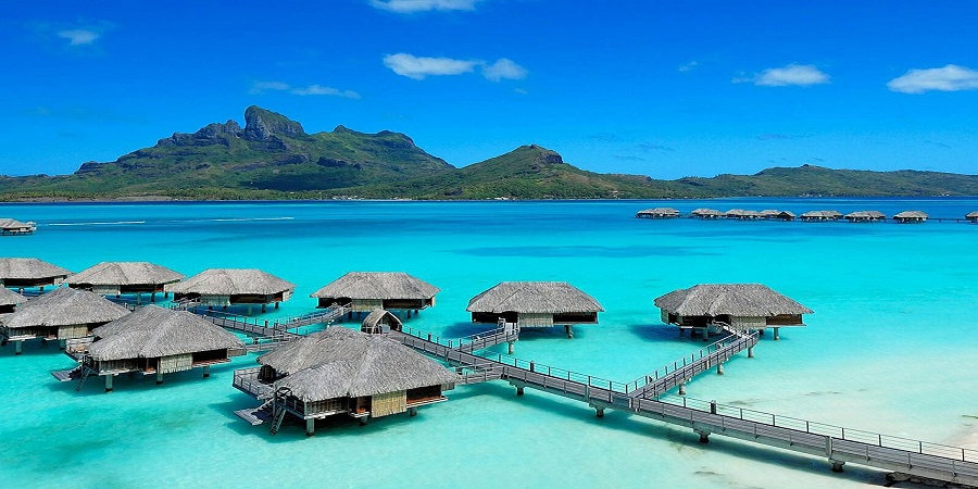 business travel services
